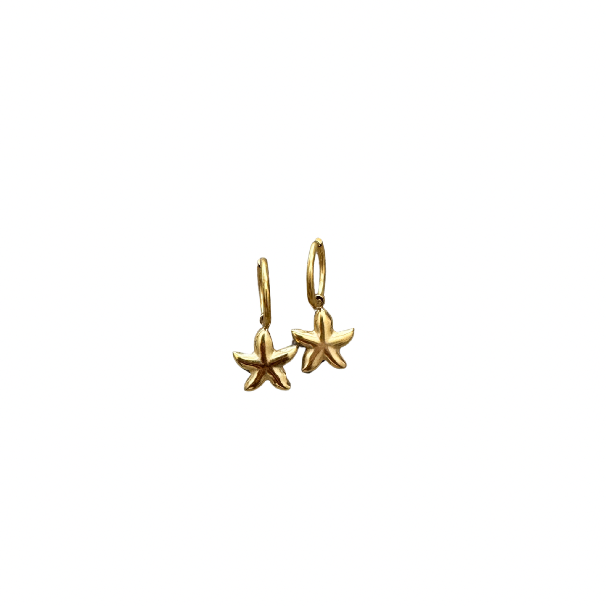 Star of the Ocean Earrings